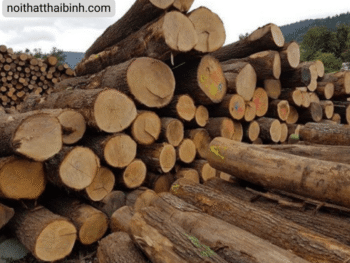 7 loại gỗ bền đẹp cho nội thất