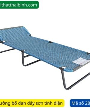 Giường bố sơn điện MS 2838