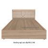 Giường ngủ cao cấp MS 2146
