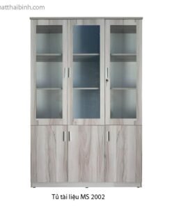 Tủ đựng tài liệu MS 2002