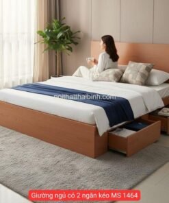 Giường ngủ có 2 ngăn kéo MS 1464